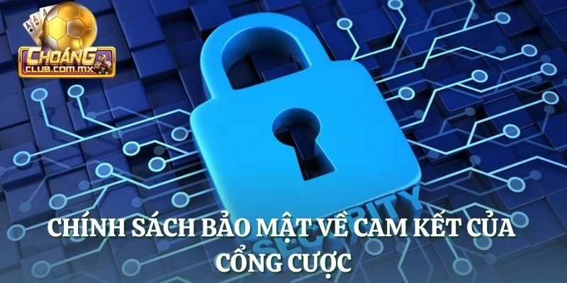 Chính sách bảo mật về cam kết của cổng cược